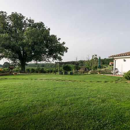 Agriturismo Il Poggio Vetralla Ngoại thất bức ảnh