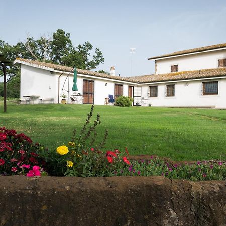 Agriturismo Il Poggio Vetralla Ngoại thất bức ảnh