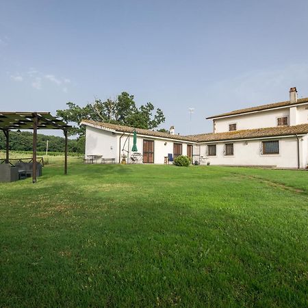 Agriturismo Il Poggio Vetralla Ngoại thất bức ảnh