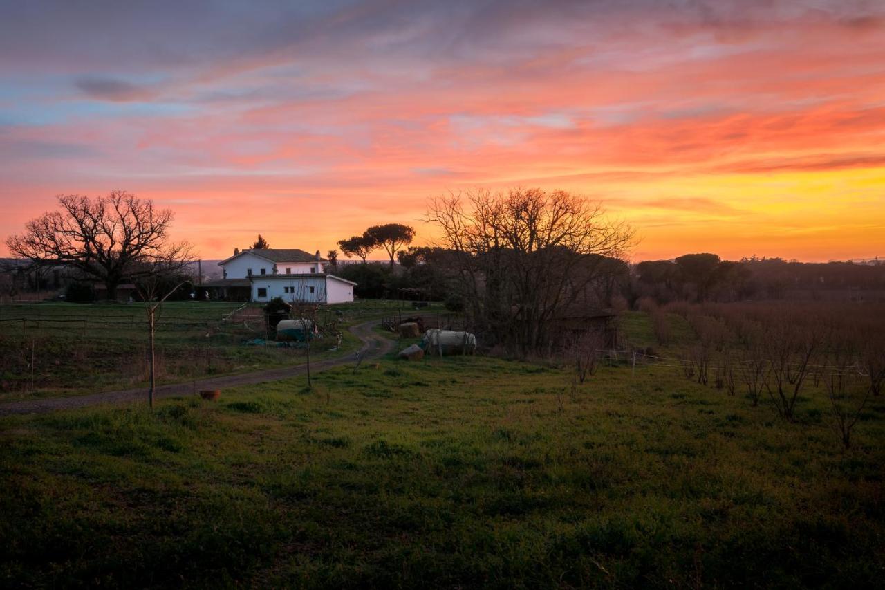 Agriturismo Il Poggio Vetralla Ngoại thất bức ảnh