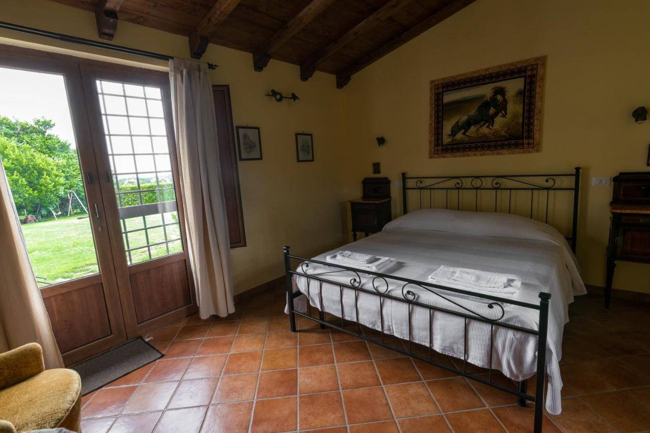 Agriturismo Il Poggio Vetralla Ngoại thất bức ảnh