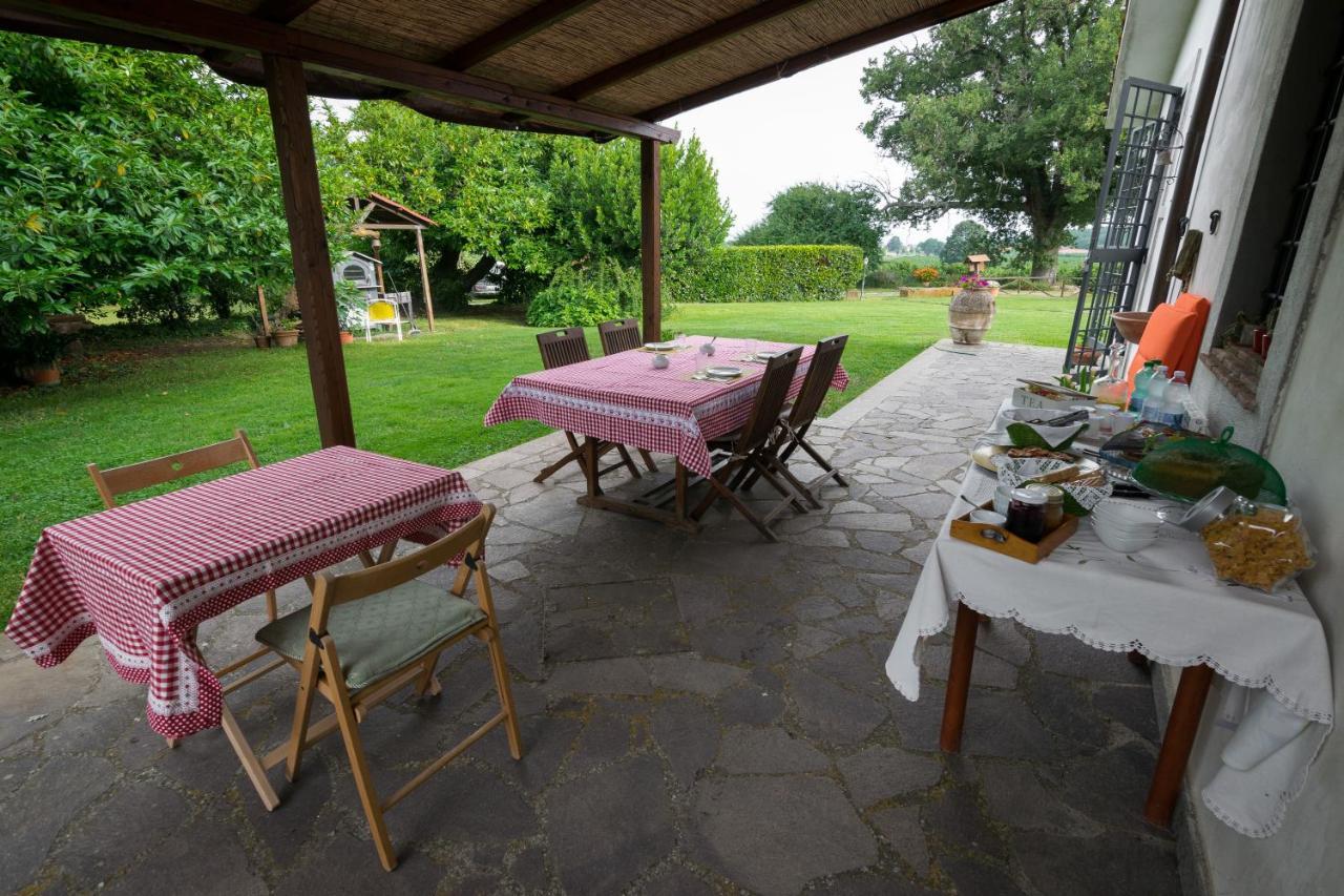 Agriturismo Il Poggio Vetralla Ngoại thất bức ảnh