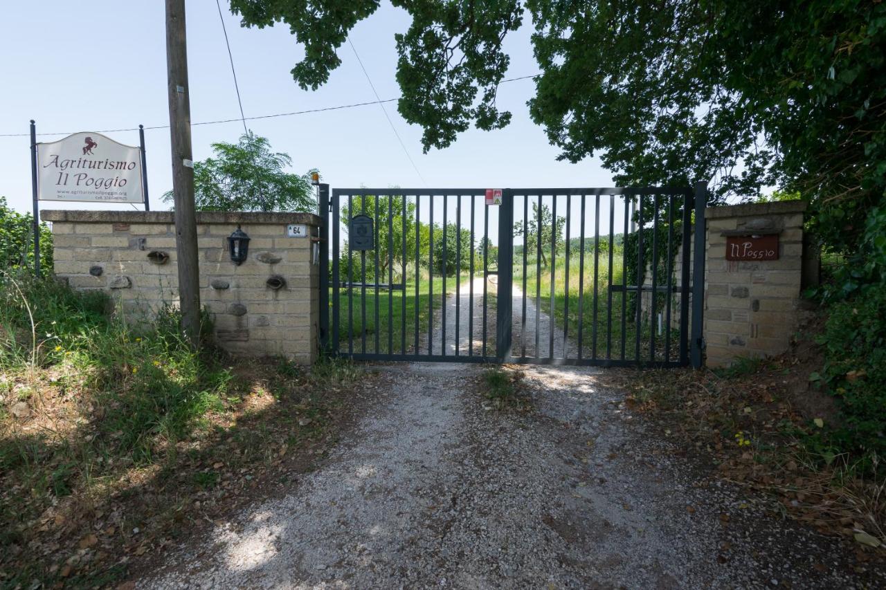 Agriturismo Il Poggio Vetralla Ngoại thất bức ảnh