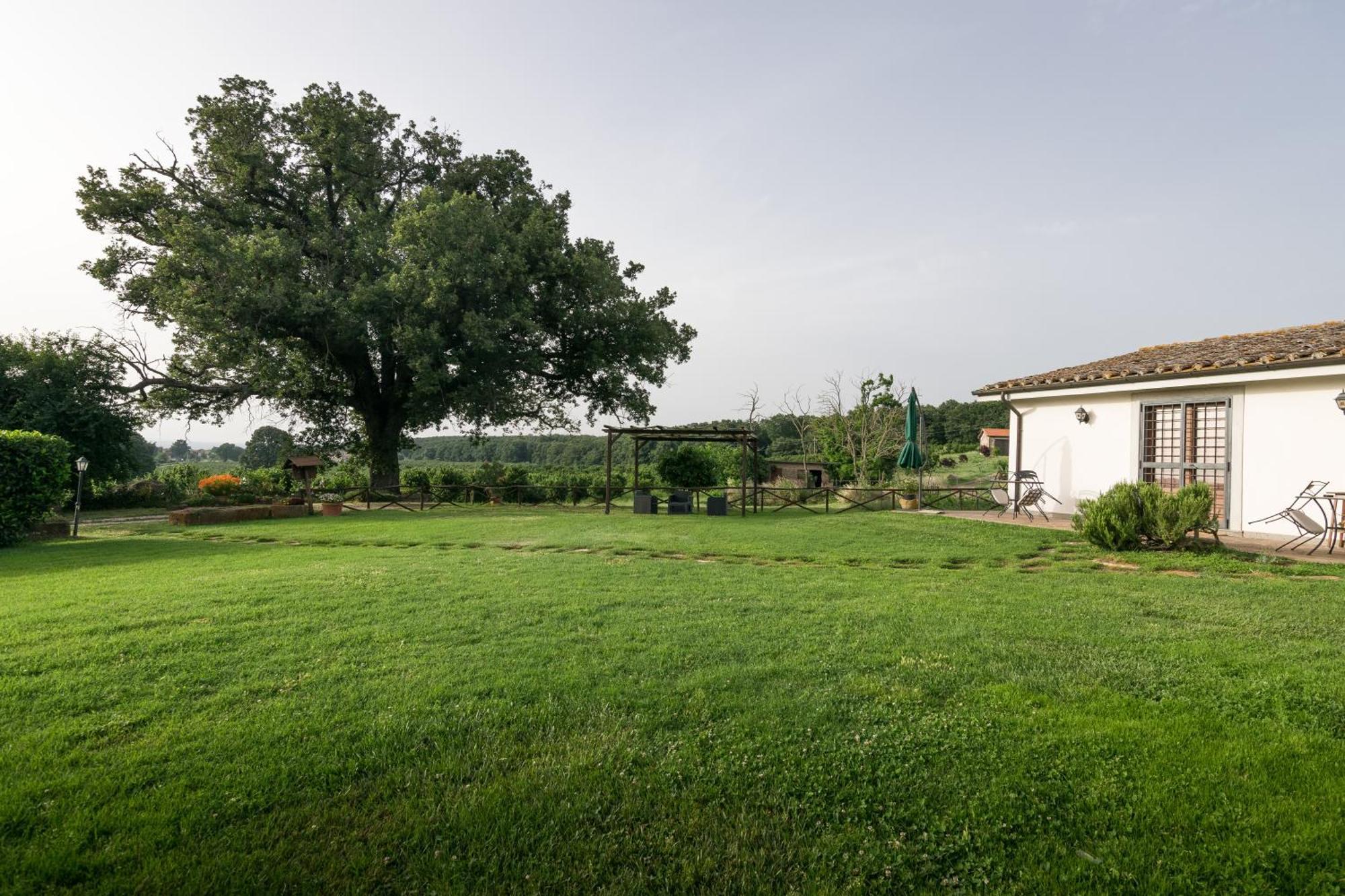 Agriturismo Il Poggio Vetralla Ngoại thất bức ảnh