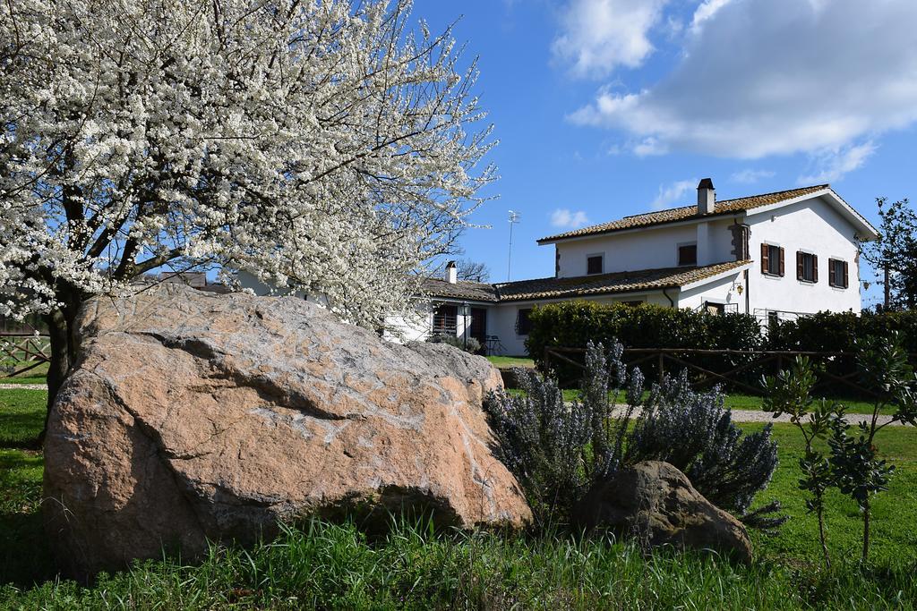 Agriturismo Il Poggio Vetralla Ngoại thất bức ảnh
